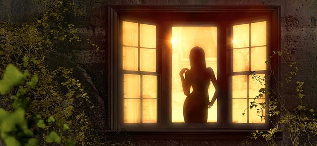 house-window-window-640x480-72157321.jpeg