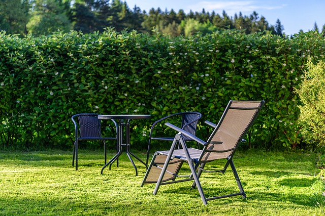 lawn