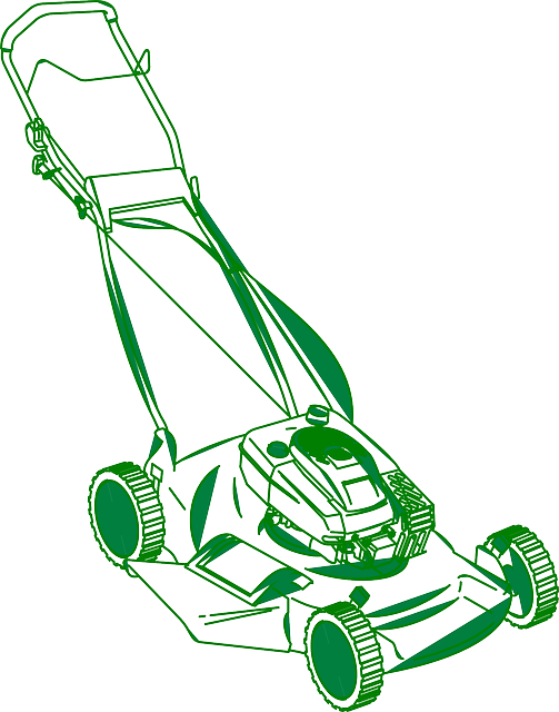 lawn