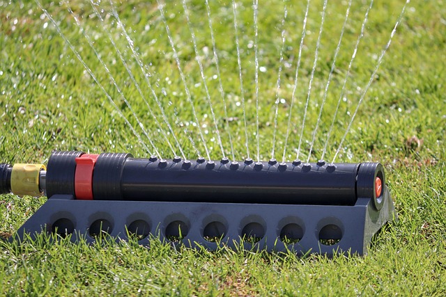 lawn-640x480-74194697.jpeg