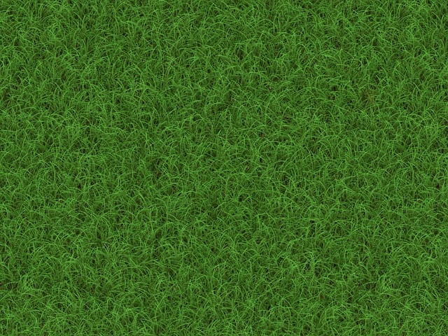 lawn-640x480-85551317.jpeg