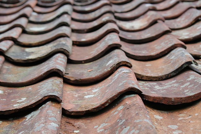 Affordable Roofs: Cost-Effective Solutions for Your Budget-Friendly Home