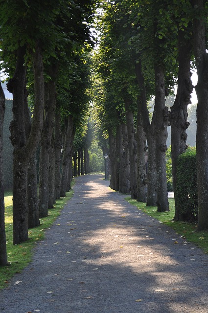 walkway-pathway-640x480-12117918.jpeg
