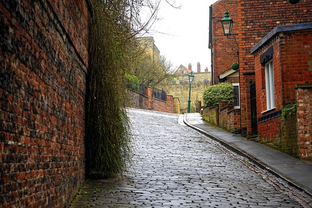 walkway, pathway