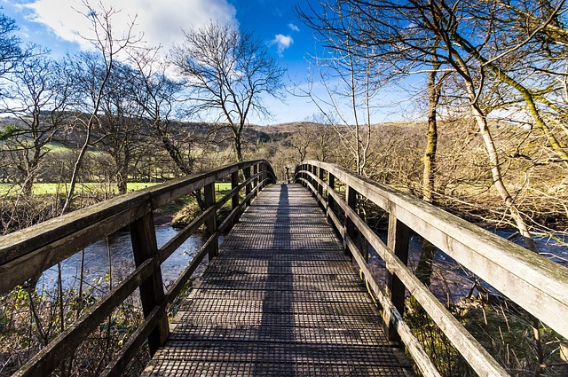 walkway, pathway