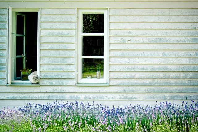 window-house-window-640x480-30859777.jpeg