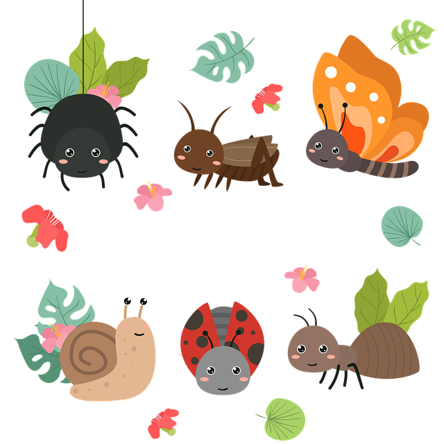 ant-640x480-55506212.png