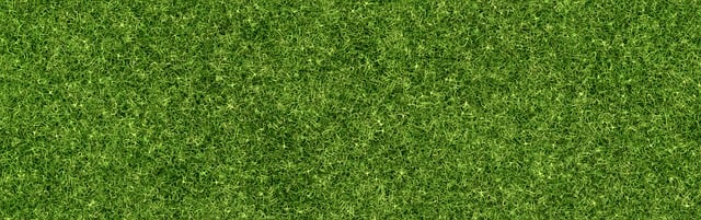 artificial grass, turf