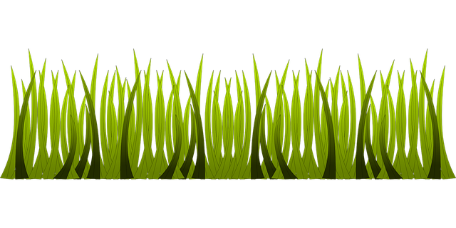 Cost-Effective Artificial Grass Installation: Tips for Year-Round Green Spaces