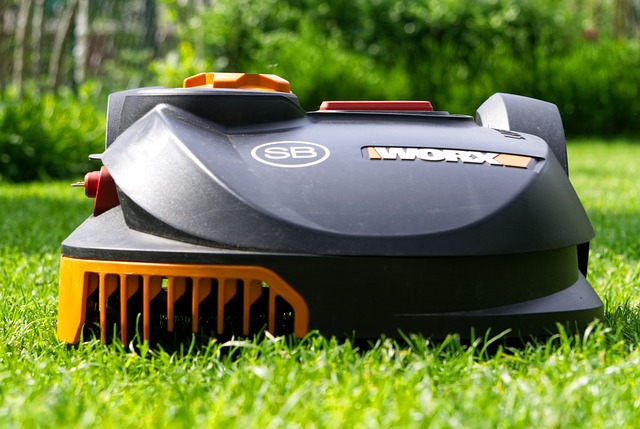 Personalized Artificial Grass Plans: Design, Install, Enjoy a Year-Round Green Space