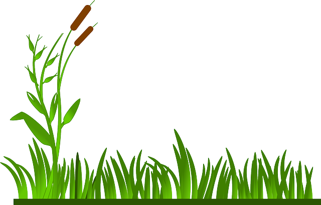 artificial grass, turf