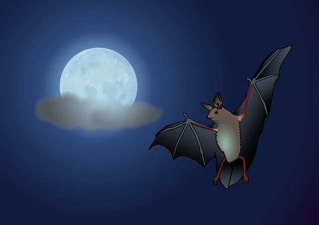 Mastering Bat Control: Effective, Humane Solutions for Lasting Relief