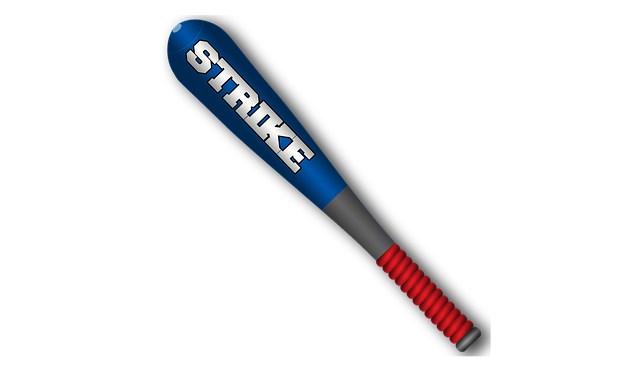 bat-640x480-87165717.png