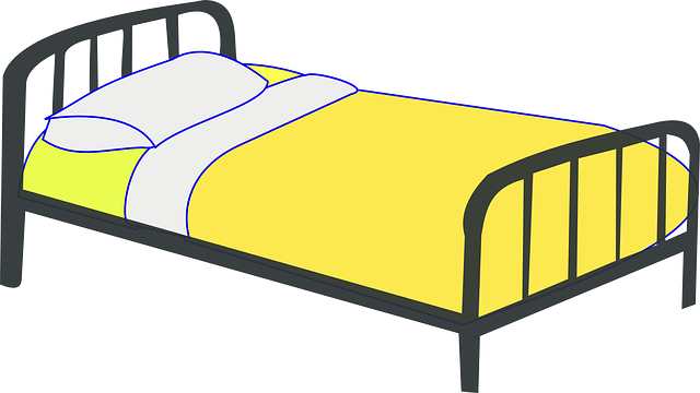 bed-bug-640x480-83439031.png
