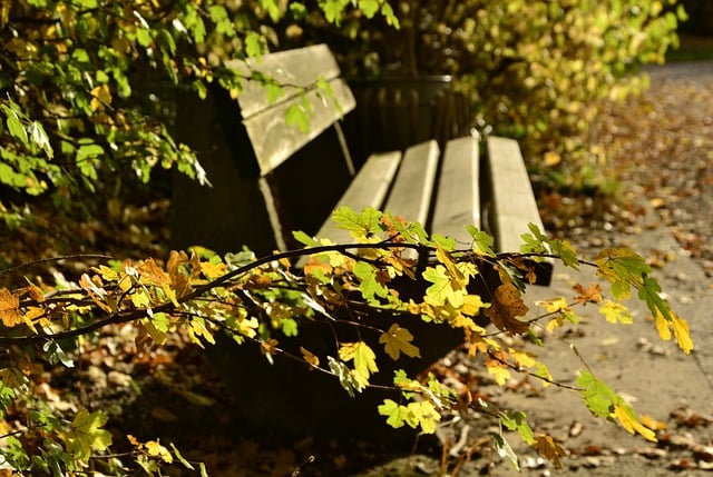 bench-640x480-10713228.jpeg