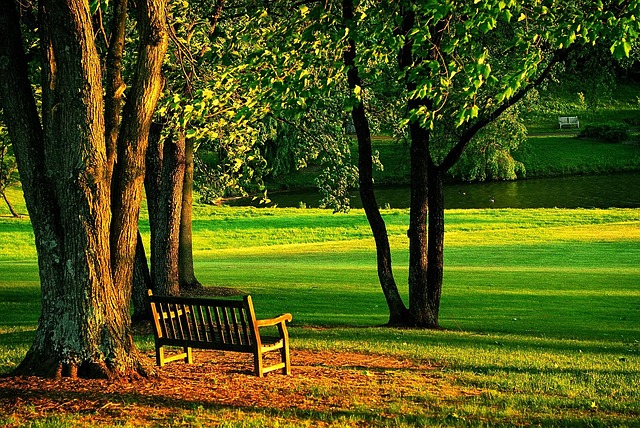 Revolutionize Outdoor Spaces: Multi-Functional Metal Benches as Modern Seating Art