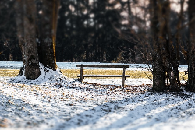 bench-640x480-66537792.jpeg