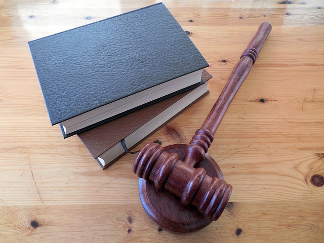 business license, law, lawyer, business, company