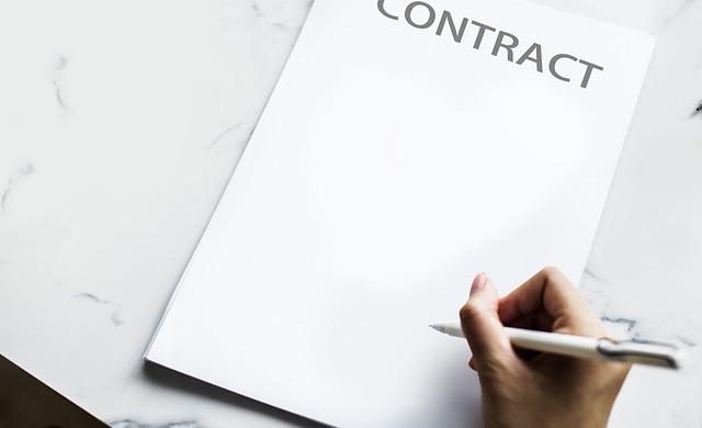 business license, law, lawyer, business, company