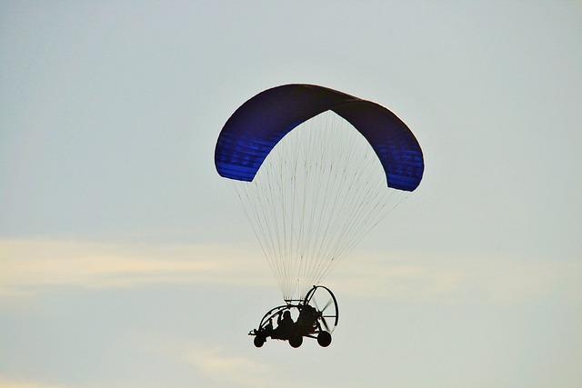 canopy-640x480-13404607.jpeg