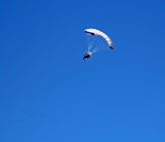 canopy-640x480-40960542.jpeg