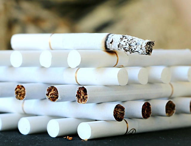 Fast-Response Services: Effective Cigarette Beetle Treatment & Prevention