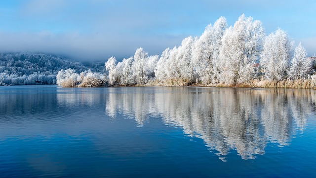 Calm Your Mind: Harnessing Cold Plunges for Stress and Anxiety Alleviation