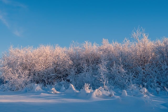 Cold Plunges for Hormonal Balance: Regulating Sleep Hormones Naturally
