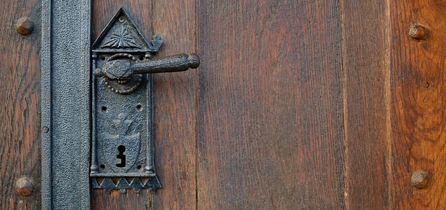 Elevate Home Security & Style with Proven, Energy-Efficient Storm Doors