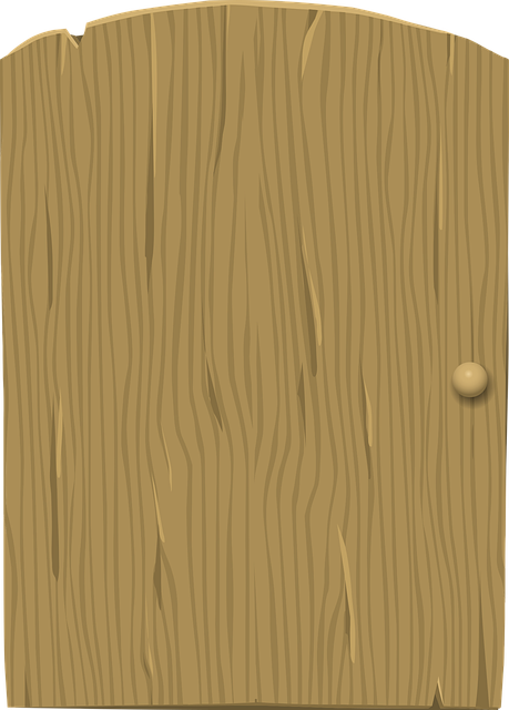 door, door lock, door access
