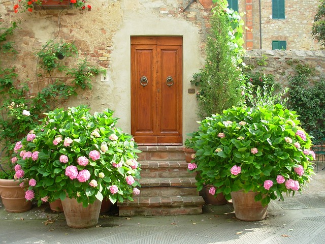 door, door lock, door access