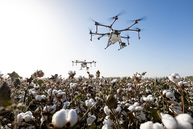 drone-640x480-85162884.jpeg