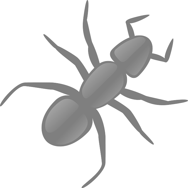 drywood-termite-termite-640x480-30469815.png