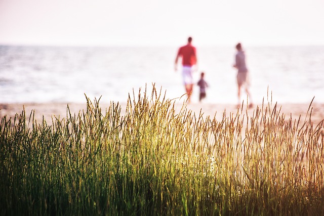 Calm Family Mediation: Tools for Stress-Free Conflict Resolution