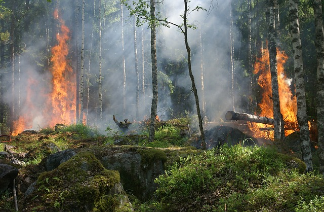 fire-pit-firepit-640x480-78875889.jpeg