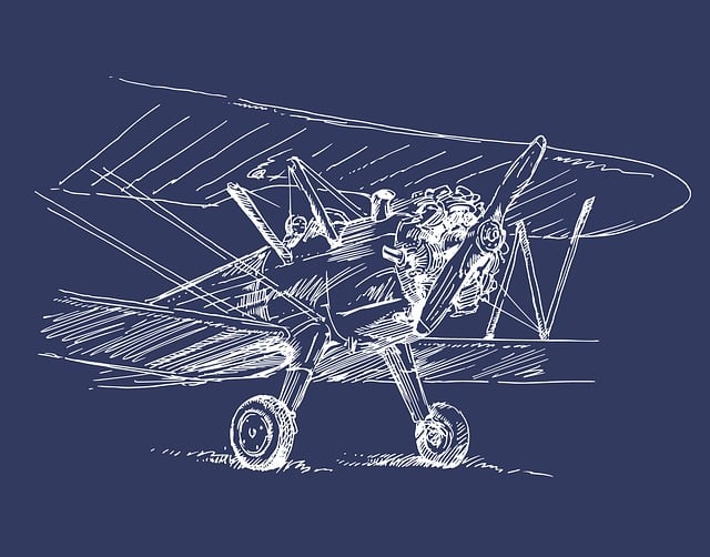 fly-flies-640x480-55357645.jpeg