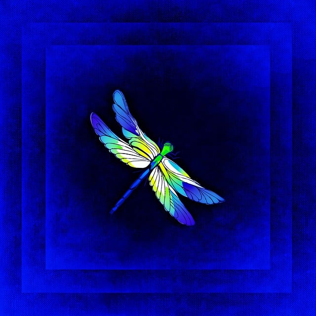 fly-flies-640x480-67120131.jpeg