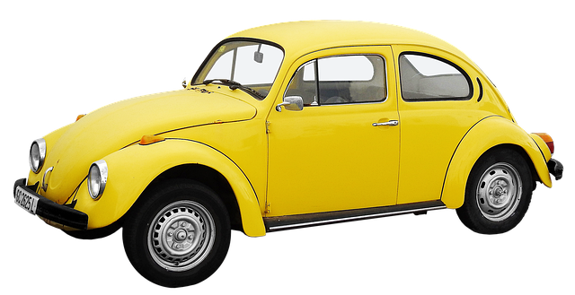 Mastering Beetle Control: Ongoing Programs for Residential & Commercial Spaces