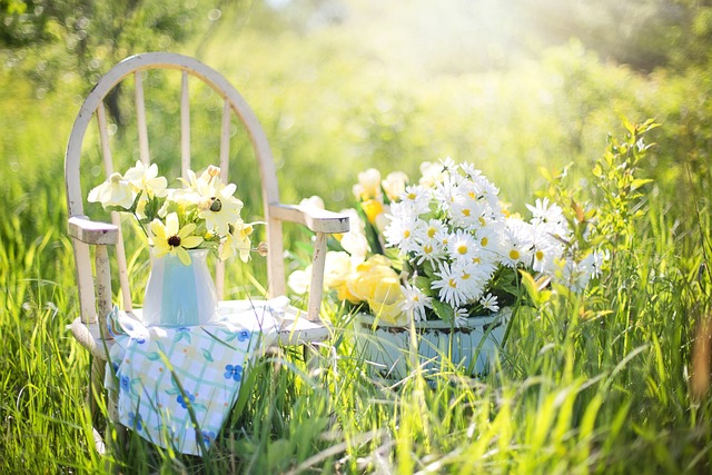 garden-640x480-61402955.jpeg