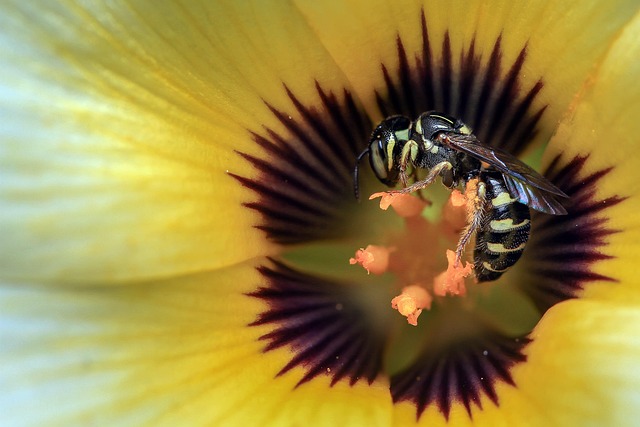 garden-640x480-75495402.jpeg