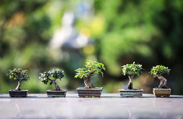 Mastering Low-Maintenance Garden Design: Tips for Easy Navigation
