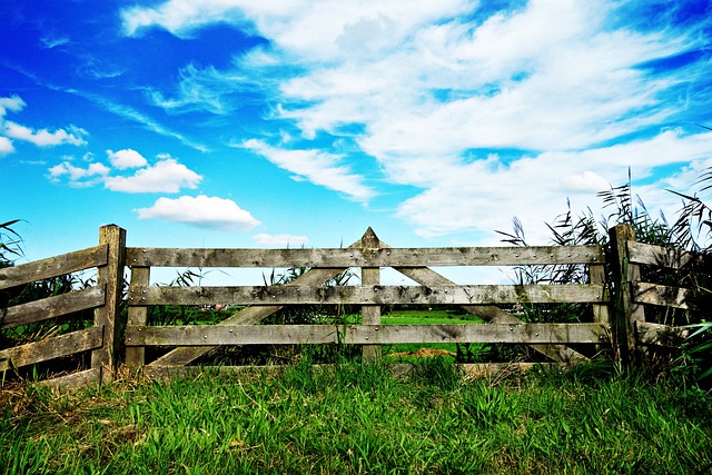 Modernizing Timeless Charm: Wrought Iron Fusions and Custom Designs