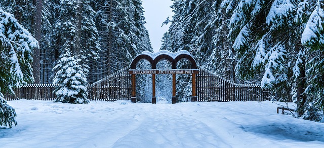 Elevate Your Garden: Custom Metal Gates with Functional Features