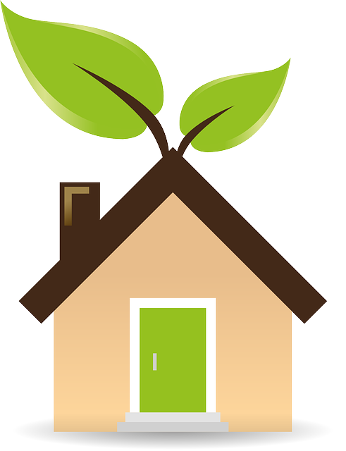 home, house, broken house