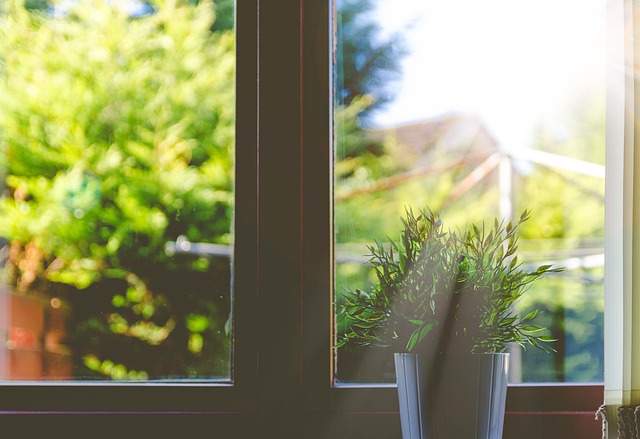 Outdoor Inspiration: Affordable Kitchen Renos with Seasonal Backyard Touches