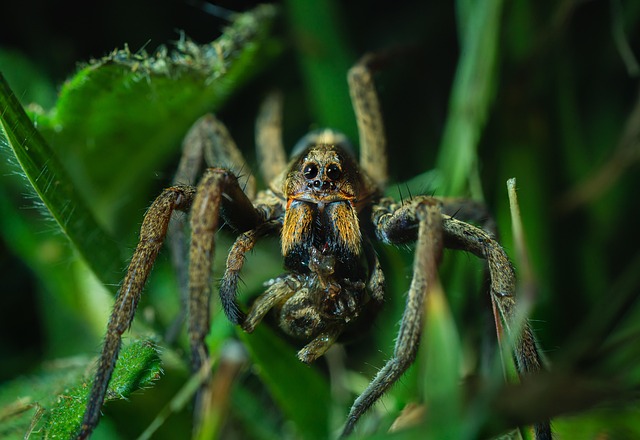 Moisture Assessments: Uncovering Pest Attractants for Prevention