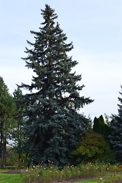 landscaping-640x480-33402616.jpeg
