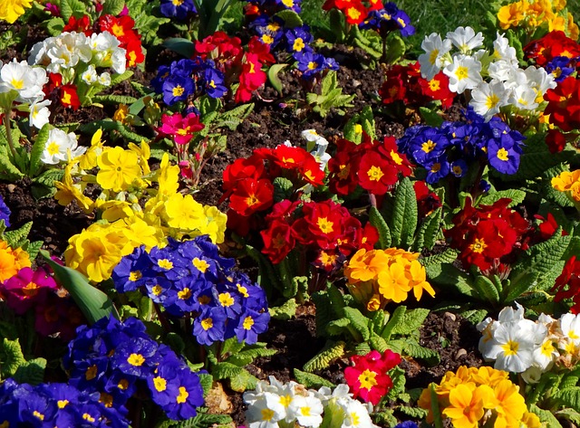 Revolutionize Your Lawn: Trusted Eco-Friendly Turf & Innovative Landscape Materials