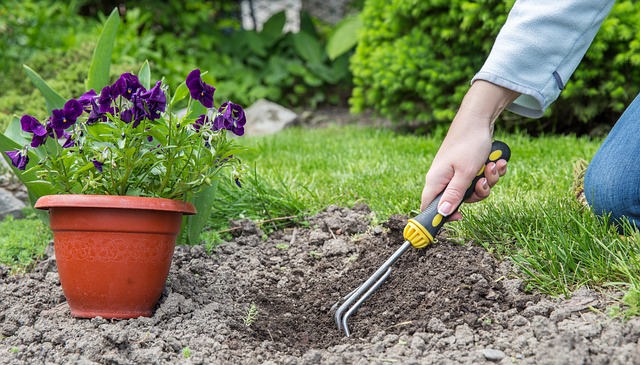 landscaping-backyard-garden-640x480-11740469.jpeg