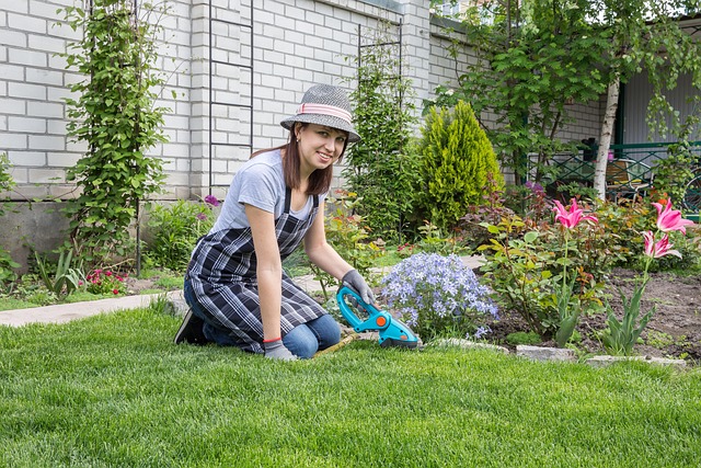 Year-Round Backyard Care: Seasonal Tips for Strong, Weatherproof Structures